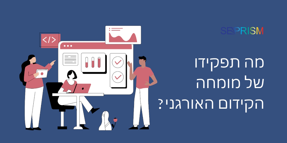 מומחה קידום אתרים אורגני